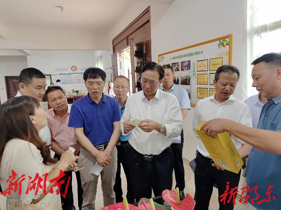 王志群率队来邵东市调研油茶产业_邵阳头条网